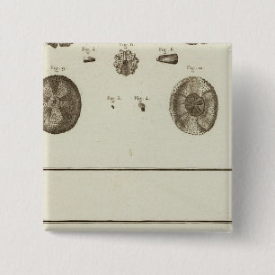 Alaska Button
