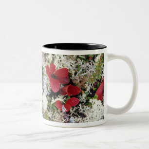 Alaska, Denali-Nationalpark, Arktische Tundra ist Zweifarbige Tasse