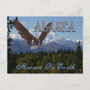 Alaska Denali Nationalpark Mount McKinley Card Postkarte