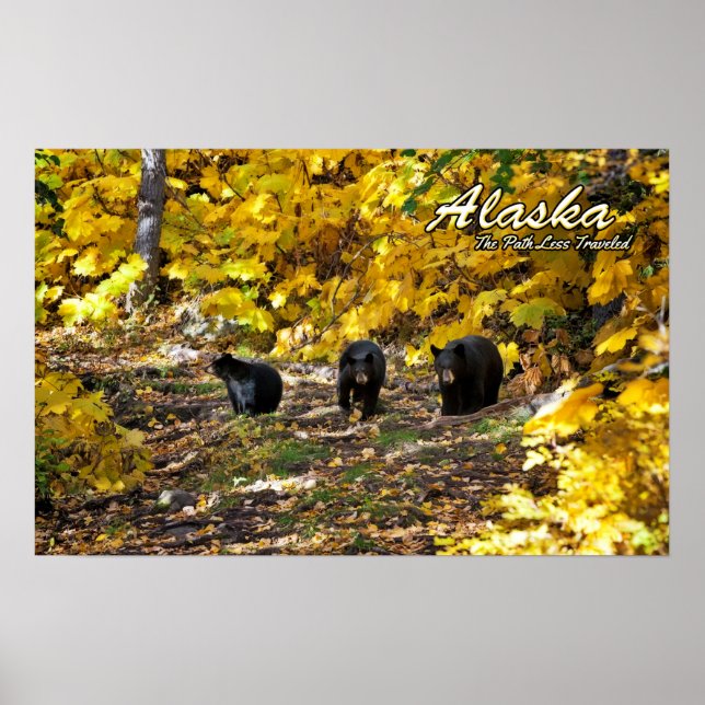 Alaska der Weg weniger gereist Poster (Vorne)