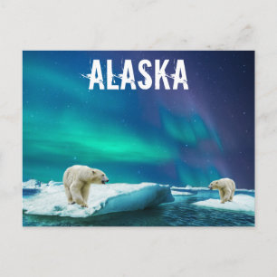 Alaska Eisbären Aurora Borealis Postkarte