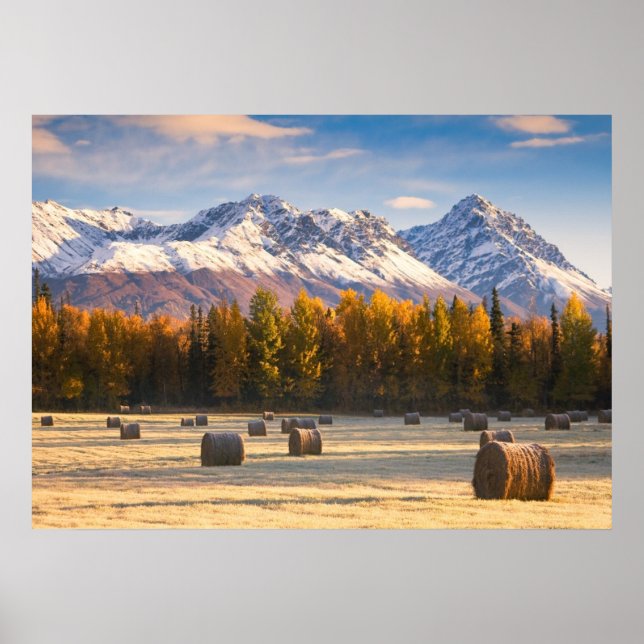 Alaska Farming Poster (Vorne)