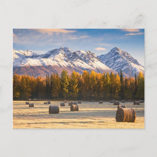 Alaska Farming Postkarte (Vorderseite)