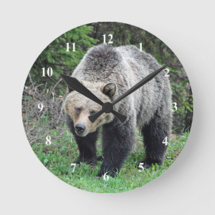 Alaska Grizzly Bar Wildlife Foto Runde Wanduhr