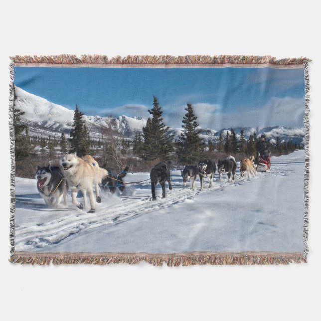 Alaska Husky Dog Sled Race Decke (Vorderseite)