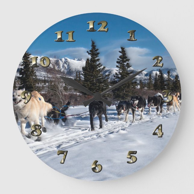 Alaska Husky Dog Sled Race Große Wanduhr (Vorderseite)