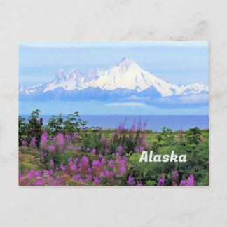 Alaska, Iliamna-Gletscher und Blume für Feueralgen Postkarte