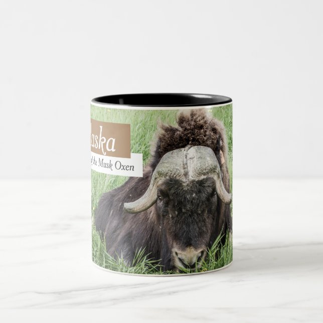 Alaska-Kaffee-Tassen - Moschus-Ochsen Zweifarbige Tasse (Mittel)