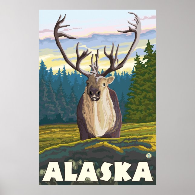 Alaska - Karibik im Freien Poster (Vorne)