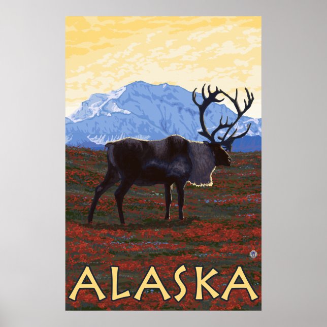 Alaska - Karibik Poster (Vorne)