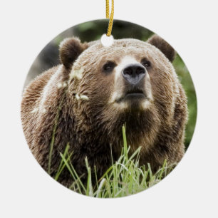 ALASKA KERAMIKORNAMENT