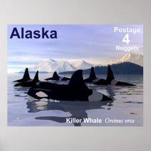 Alaska Killer Whales Briefmarke Poster