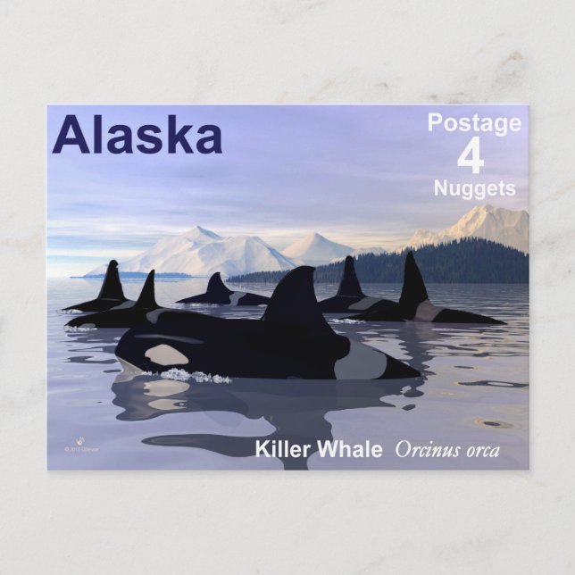 Alaska Killer Whales Briefmarke Postkarte (Vorderseite)