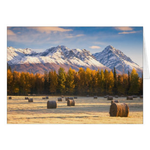 Alaska-Landwirtschaft