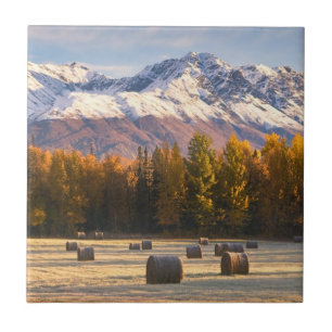 Alaska-Landwirtschaft Fliese