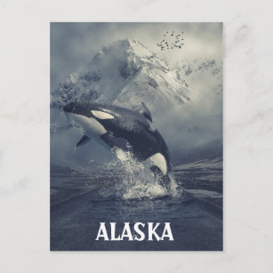 Alaska Mountains Killer Whale Orca Postkarte