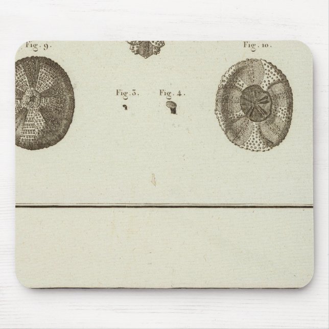 Alaska Mousepad (Vorne)