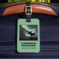 Alaska | Northern Lights Moor