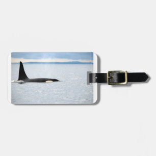 Alaska - Orca Gepäckanhänger