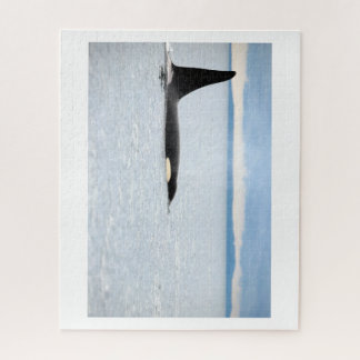 Alaska - Orca Puzzle