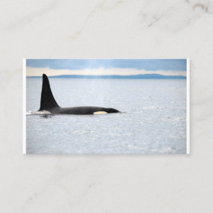 Alaska - Orca Visitenkarte