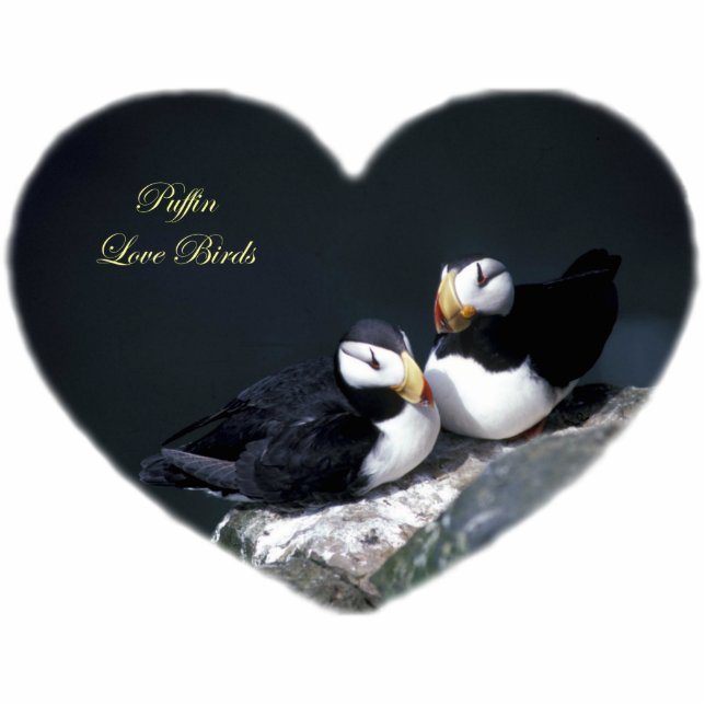 Alaska-Papageientaucher versahen bunte Vögel mit Fotoskulptur Schlüsselanhänger (Vorne)