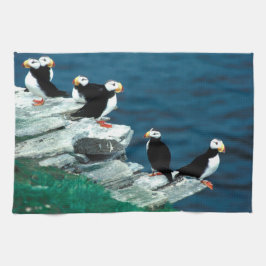 Alaska-Papageientaucher versahen bunte Vögel mit Geschirrtuch