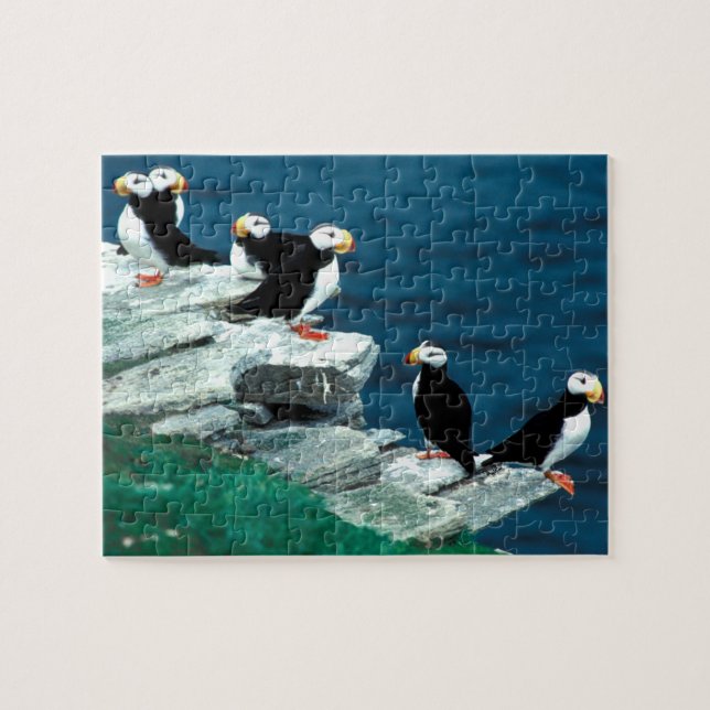 Alaska-Papageientaucher versahen bunte Vögel mit Puzzle (Horizontal)