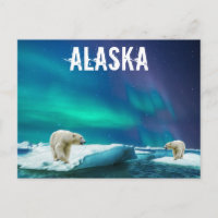 Alaska Postcard mit Polar Bears Aurora Borealis