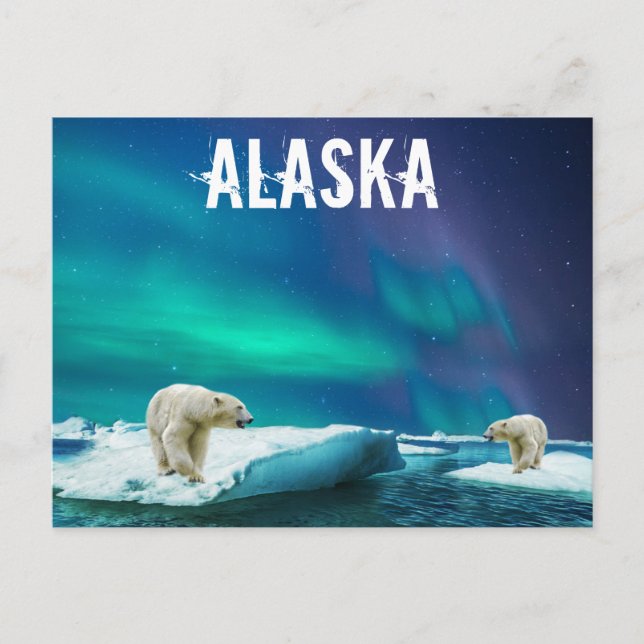 Alaska Postcard mit Polar Bears Aurora Borealis Postkarte (Vorderseite)