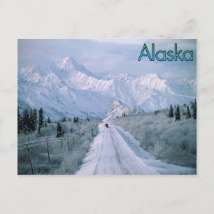 Alaska Postcard Postkarte