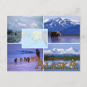 Alaska Postcard Postkarte