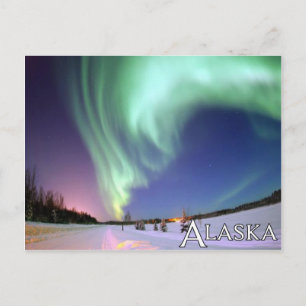 Alaska Postcard Postkarte