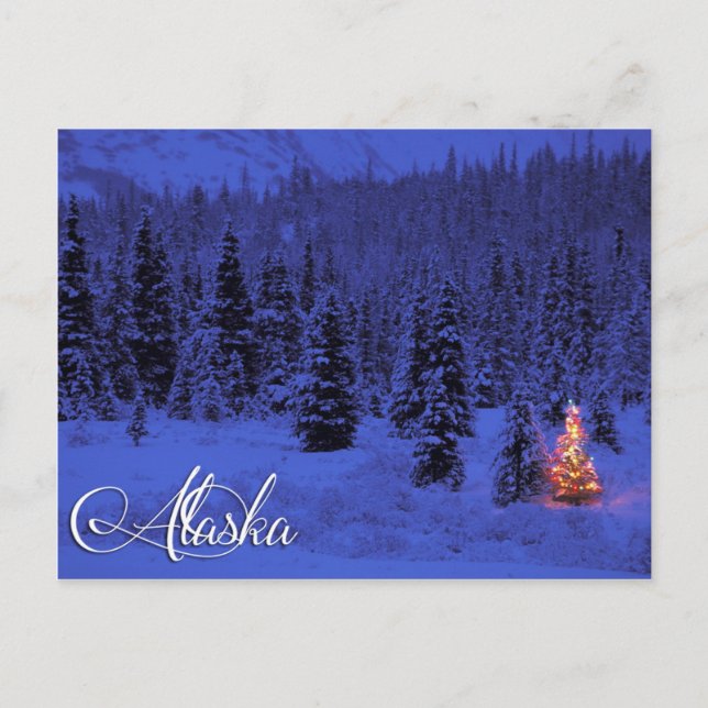 Alaska Postcard Postkarte (Vorderseite)