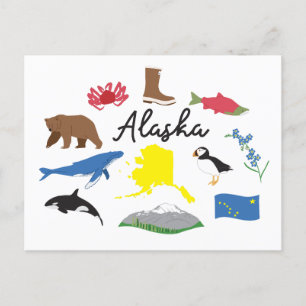 Alaska Postcard Postkarte