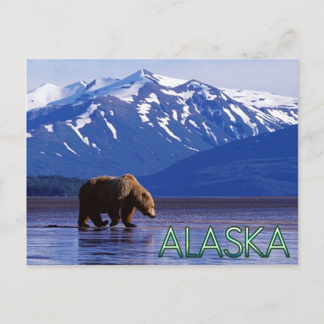 Alaska Postcard Postkarte (Vorderseite)
