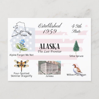 Alaska Postcard | Staat und Sehenswürdigkeiten Postkarte
