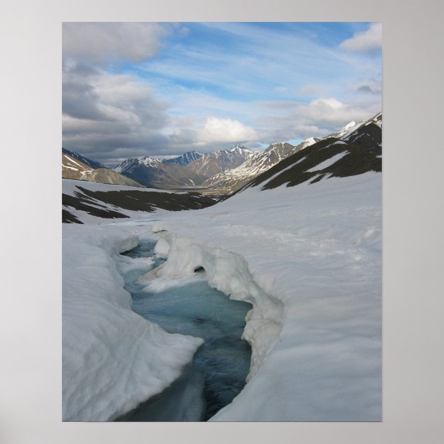 Alaska Poster (Vorne)