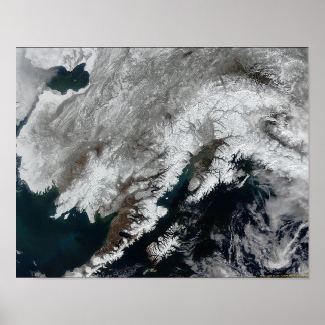 Alaska Poster (Vorne)