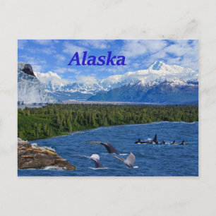 Alaska Postkarte