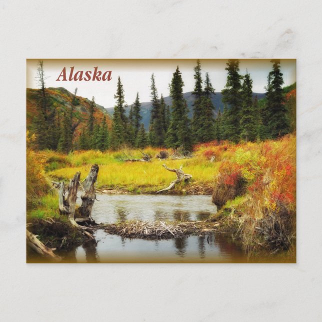 Alaska Postkarte (Vorderseite)