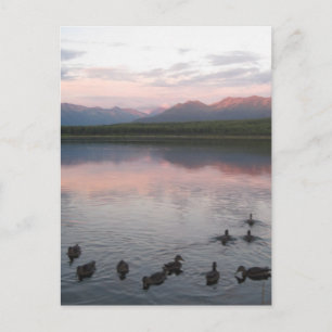 Alaska Postkarte