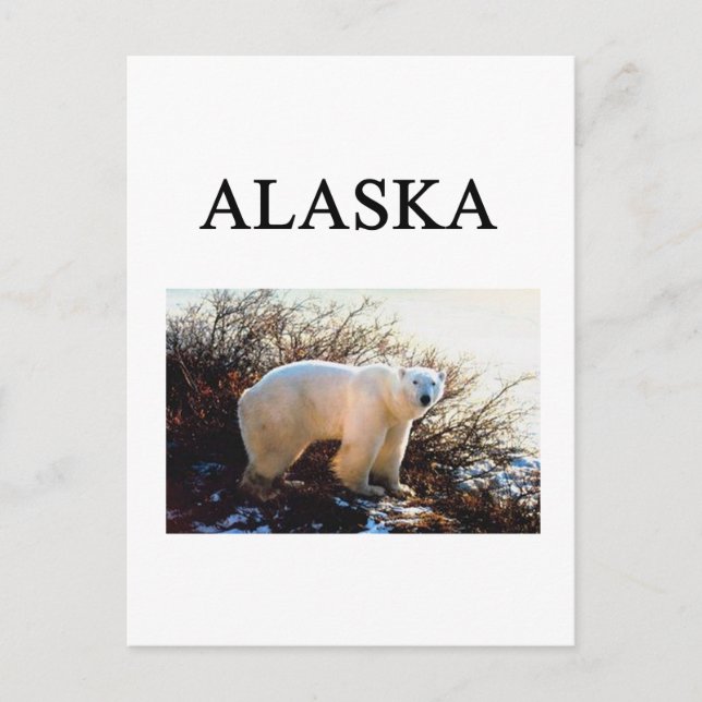 Alaska Postkarte (Vorderseite)