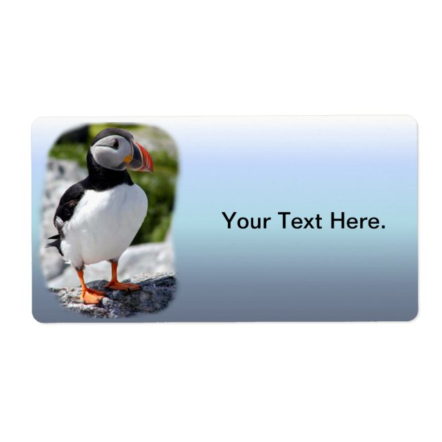 Alaska Puffins füttern farbenfrohe Vögel (Vorne)