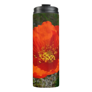 Alaska-Rote Mohn Farbige Blume Thermosbecher