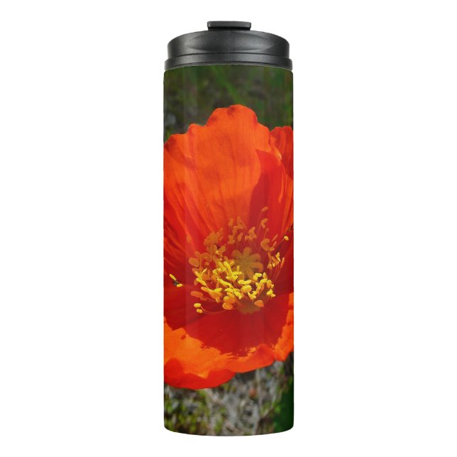 Alaska-Rote Mohn Farbige Blume Thermosbecher (Vorderseite)