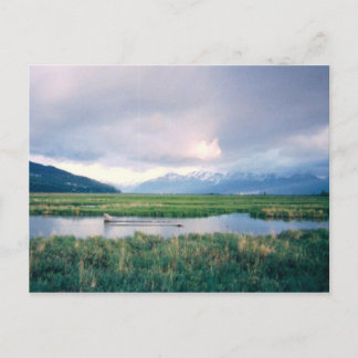 Alaska Sanctuary Postkarte