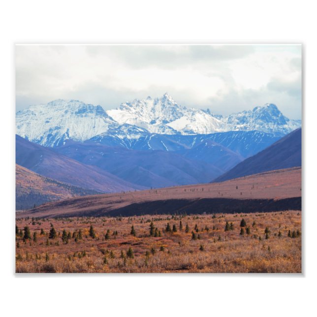 Alaska, schneebedeckte Berge, Vorgebirge, Denali Fotodruck (Vorne)