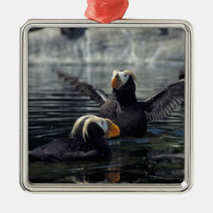 Alaska Schopflunde Ornament Aus Metall