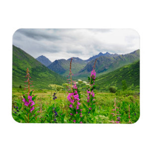 Alaska-Tal-Wildblumen Magnet